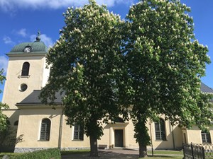 S:t Anna kyrka